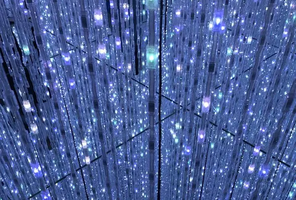 【閉業】森ビルデジタルアートミュージアム：エプソン チームラボボーダレス（MORI Building Digital Art Museum: EPSON teamLab Borderless）の写真・動画_image_264177