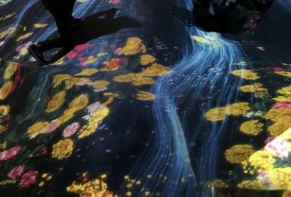 【閉業】森ビルデジタルアートミュージアム：エプソン チームラボボーダレス（MORI Building Digital Art Museum: EPSON teamLab Borderless）の写真・動画_image_264178