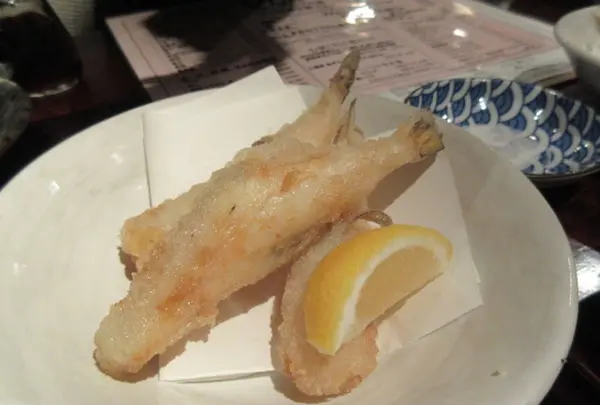 うまいもん酒場 とらっ家の写真・動画_image_264369