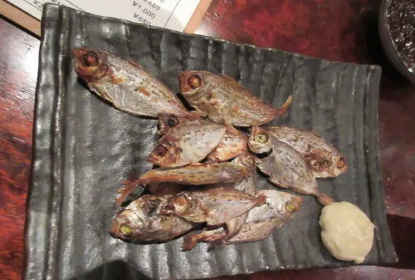 うまいもん酒場 とらっ家の写真・動画_image_264371
