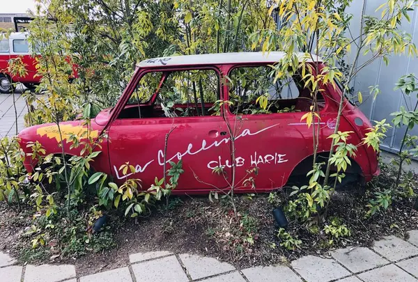 ラコリーナ近江八幡の写真・動画_image_264457