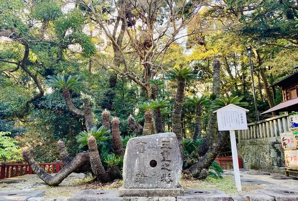 久能山東照宮の写真・動画_image_264597