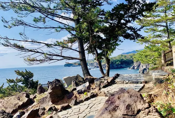 城ヶ崎海岸の写真・動画_image_264610