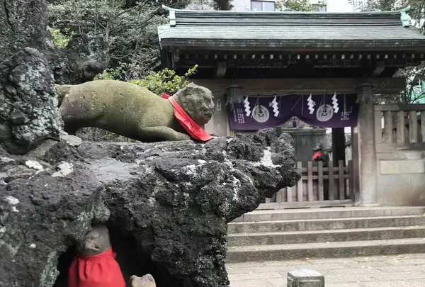 根津神社の写真・動画_image_264895