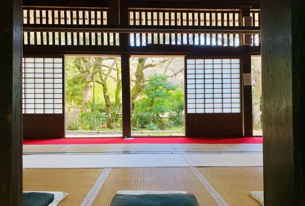 大安禅寺の写真・動画_image_264926