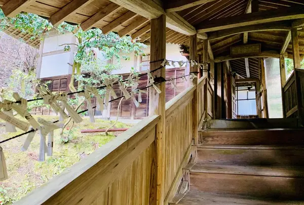 大安禅寺の写真・動画_image_264927