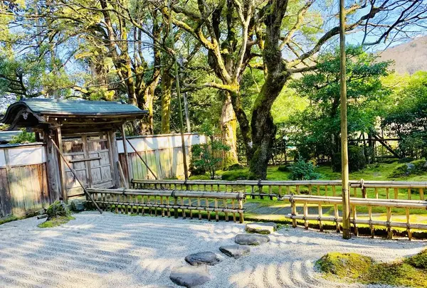 大安禅寺の写真・動画_image_264934