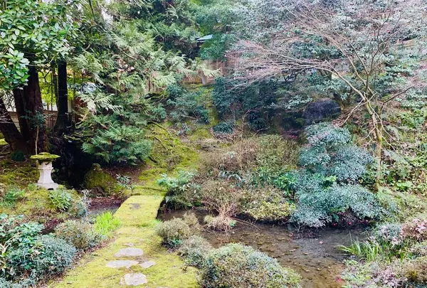 大安禅寺の写真・動画_image_264942