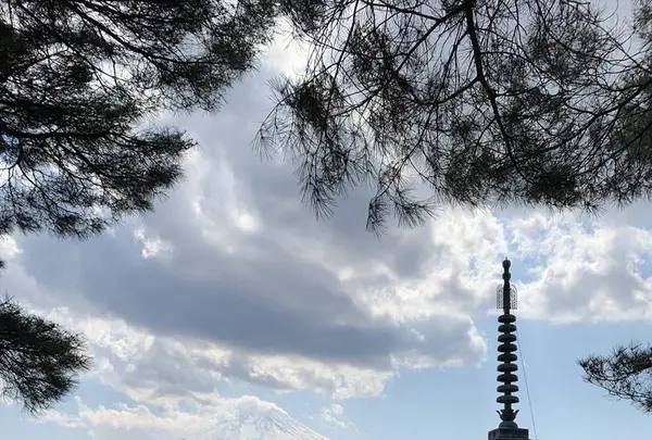 浅間公園の写真・動画_image_264996