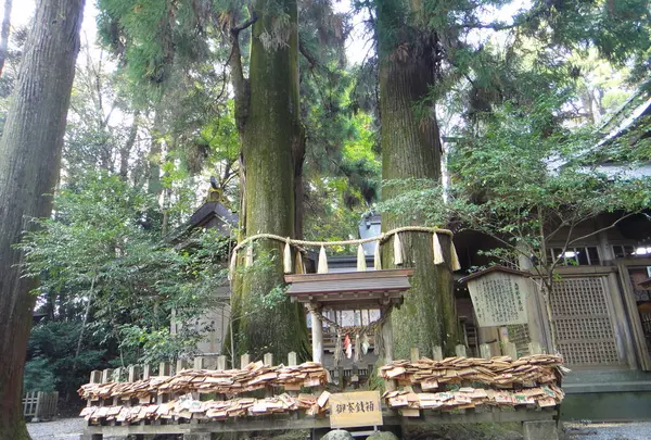 高千穂神社の写真・動画_image_265232