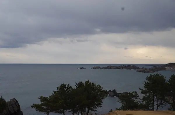 種差海岸の写真・動画_image_265548