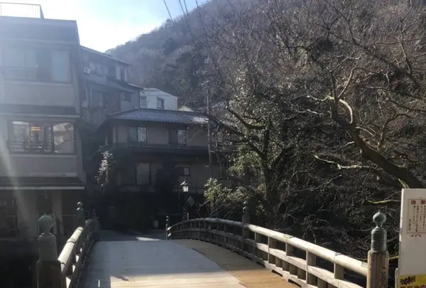 こおろぎ橋の写真・動画_image_265657