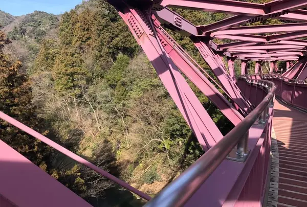 あやとりはしの写真・動画_image_265658