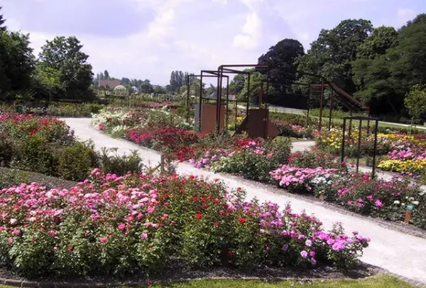 Rozentuin Coloma (Agentschap voor Natuur en Bos)の写真・動画_image_265803