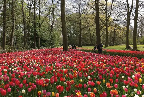 グロート・ベイハールデン城の写真・動画_image_265808