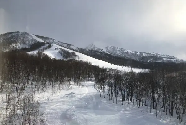 ONE NISEKO RESORT TOWERS ワン・ニセコ・リゾート・タワーズの写真・動画_image_265873