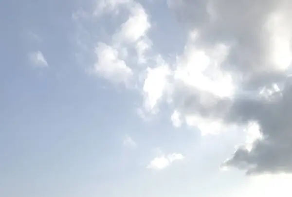 小田原城の写真・動画_image_266131