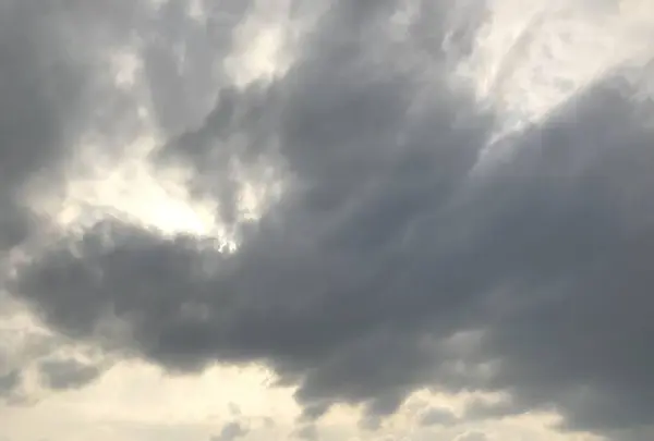 小田原城の写真・動画_image_266132