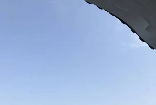 小田原城の写真・動画_image_266133