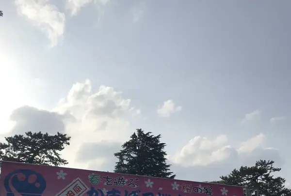 小田原城の写真・動画_image_266134