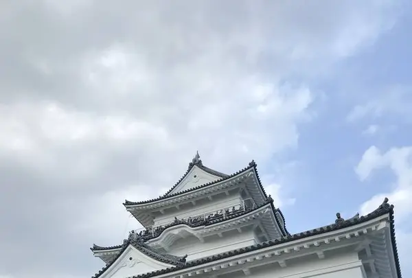 小田原城の写真・動画_image_266135