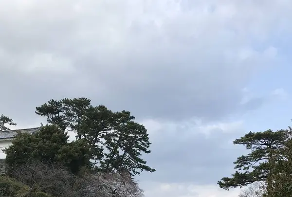 小田原城の写真・動画_image_266136