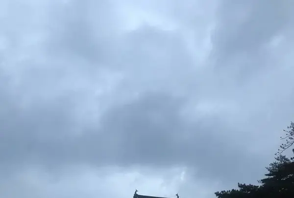 小田原城の写真・動画_image_266191