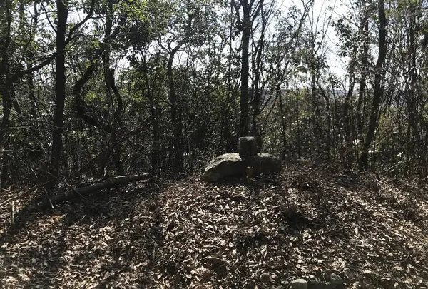 栄運寺の写真・動画_image_266253
