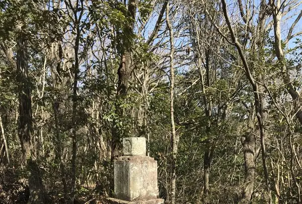 栄運寺の写真・動画_image_266256