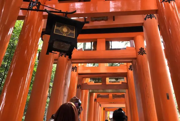 伏見稲荷大社の写真・動画_image_266407