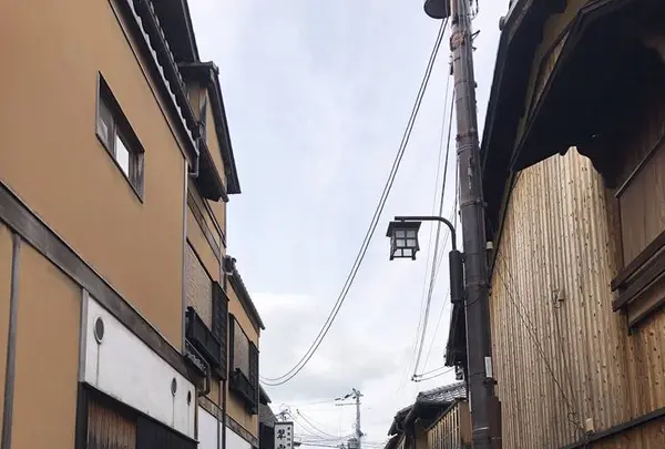 花見小路の写真・動画_image_266482