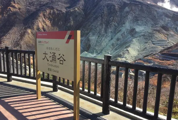 箱根ロープウェイ 大涌谷駅の写真・動画_image_266657