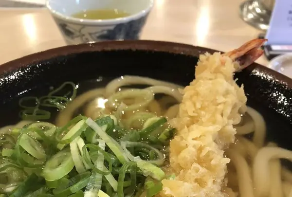 宝うどんの写真・動画_image_266709