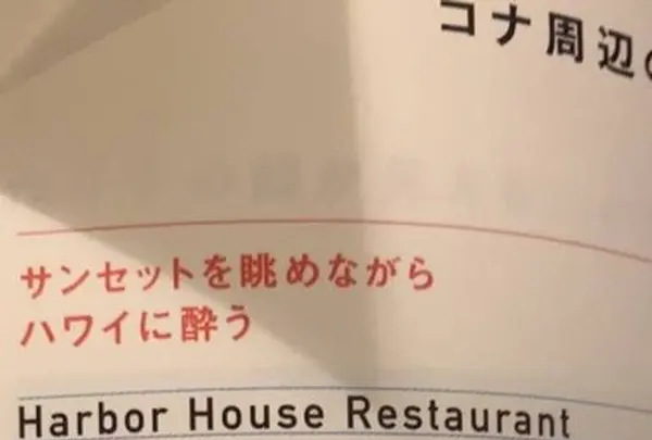 ハーバーハウスレストランの写真・動画_image_267649