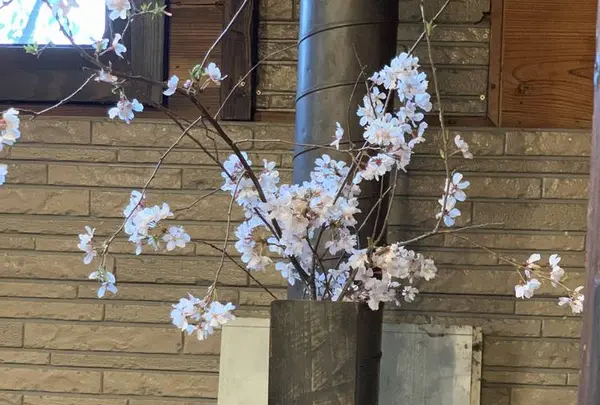 喫茶 古良慕の写真・動画_image_267670