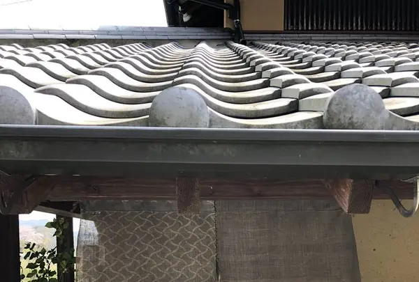 房空路の写真・動画_image_267708
