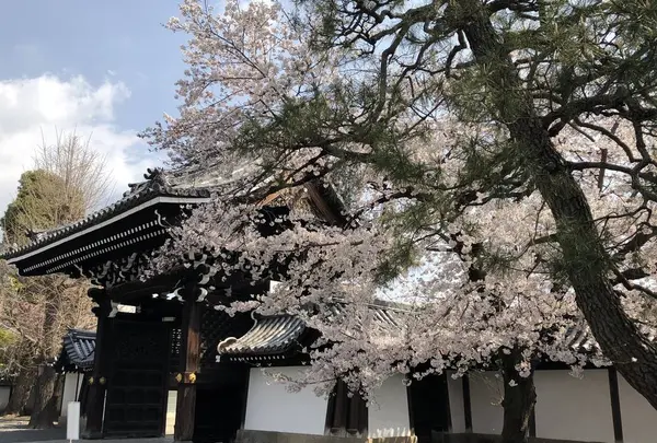 佛光寺の写真・動画_image_267736