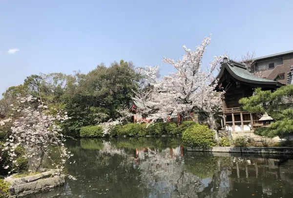 神泉苑の写真・動画_image_267751