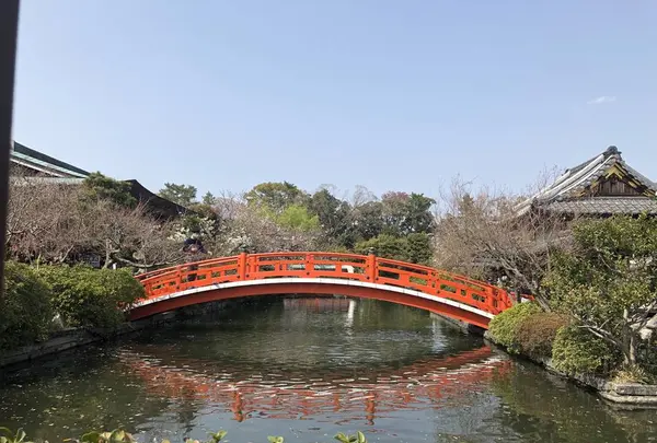 神泉苑の写真・動画_image_267752