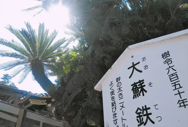 久能山東照宮の写真・動画_image_267805