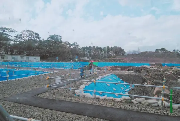 駿府城公園の写真・動画_image_267828