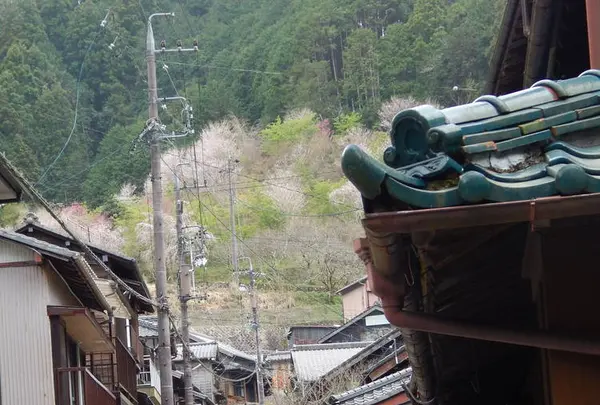 宇津ノ谷峠の写真・動画_image_267846