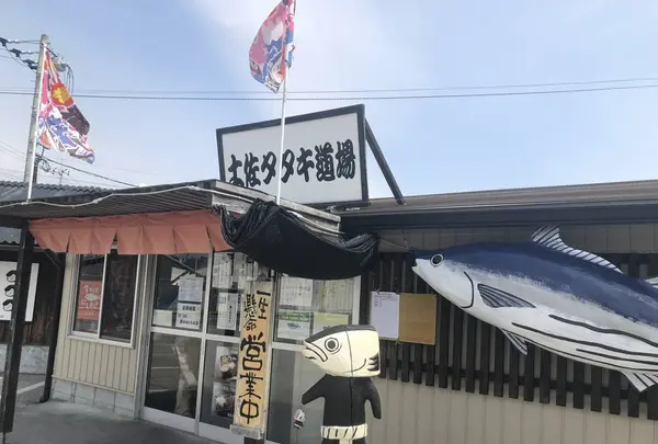 土佐たたき道場の写真・動画_image_267919