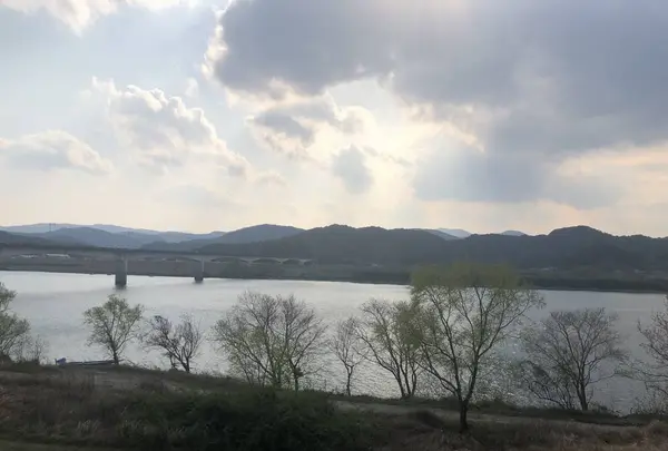 四万十川の写真・動画_image_267920