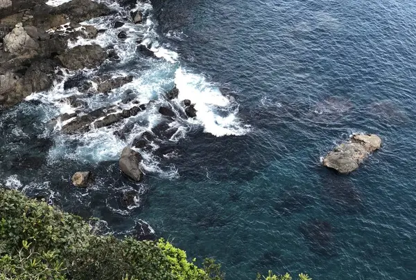 足摺岬の写真・動画_image_267923
