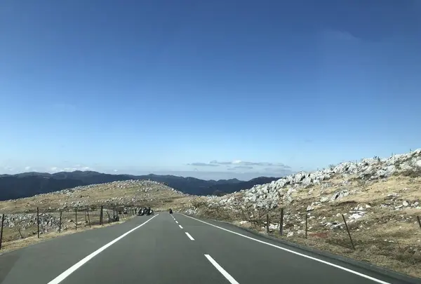 四国カルストの写真・動画_image_267929