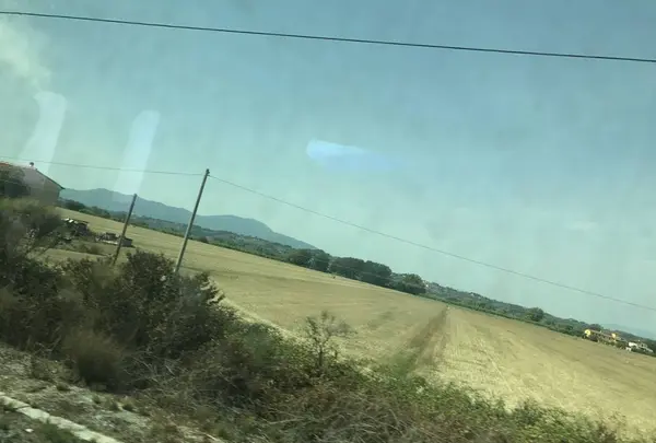 フィレンツェ・サンタ・マリア・ノヴェッラ駅の写真・動画_image_268042