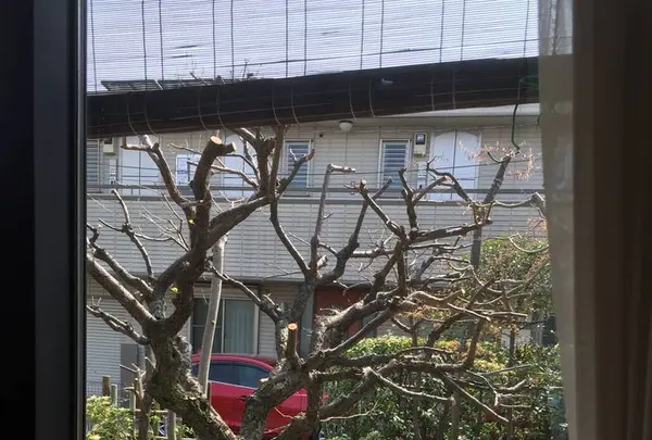 ちばいの写真・動画_image_268080