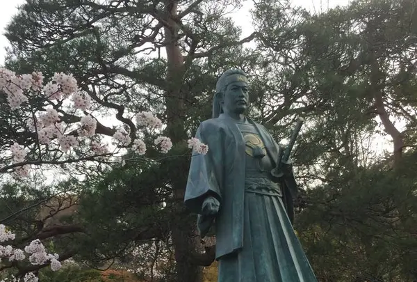 金剛寺（高幡不動尊）の写真・動画_image_268091