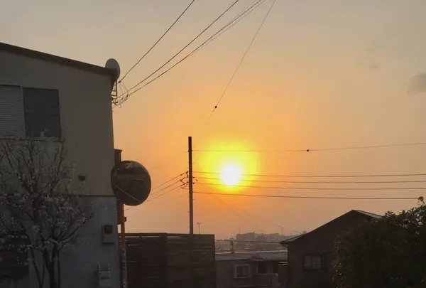 ほほえみ公園の写真・動画_image_268092